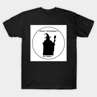 Mr. Wizard T-Shirt